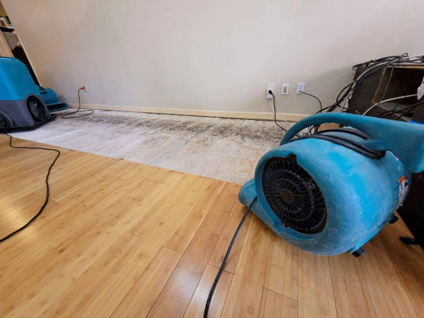 Professional Water Extraction technician working in Franklinville, NJ